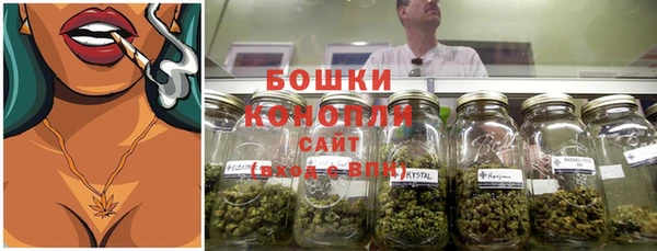 spice Богородицк