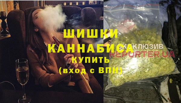 spice Богородицк